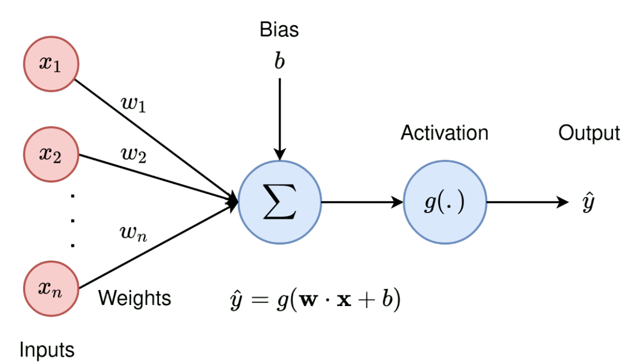 An example of a single neuron